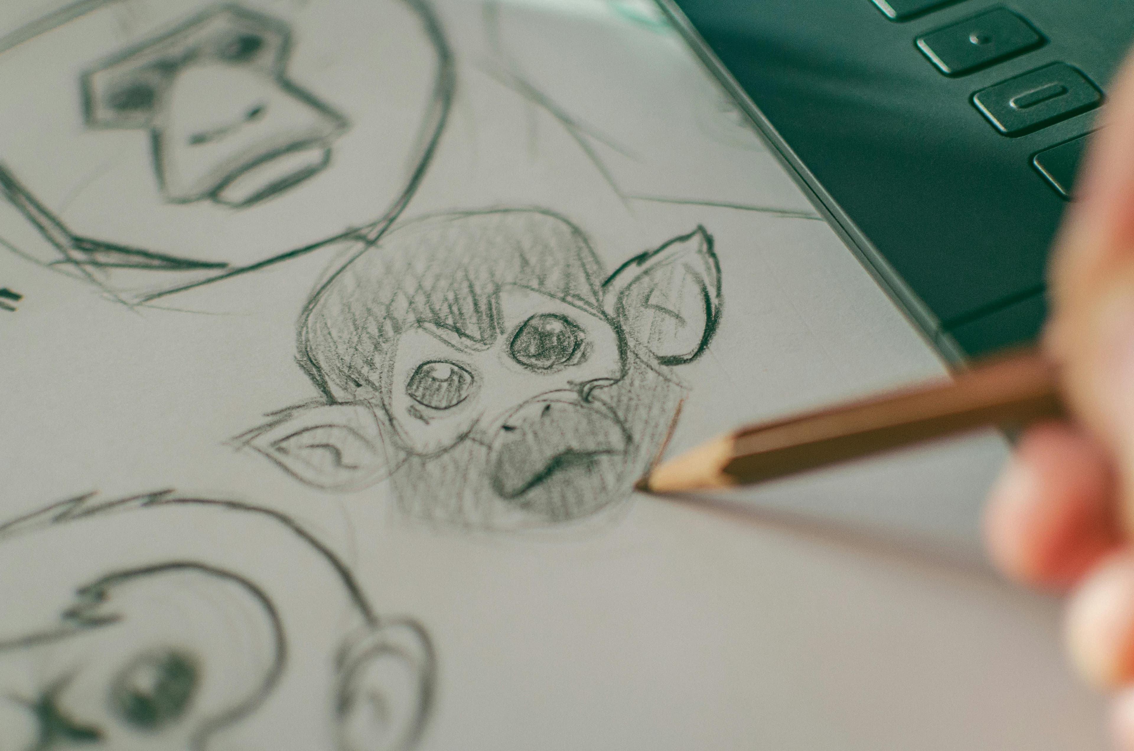 Pencil monkey sketch
